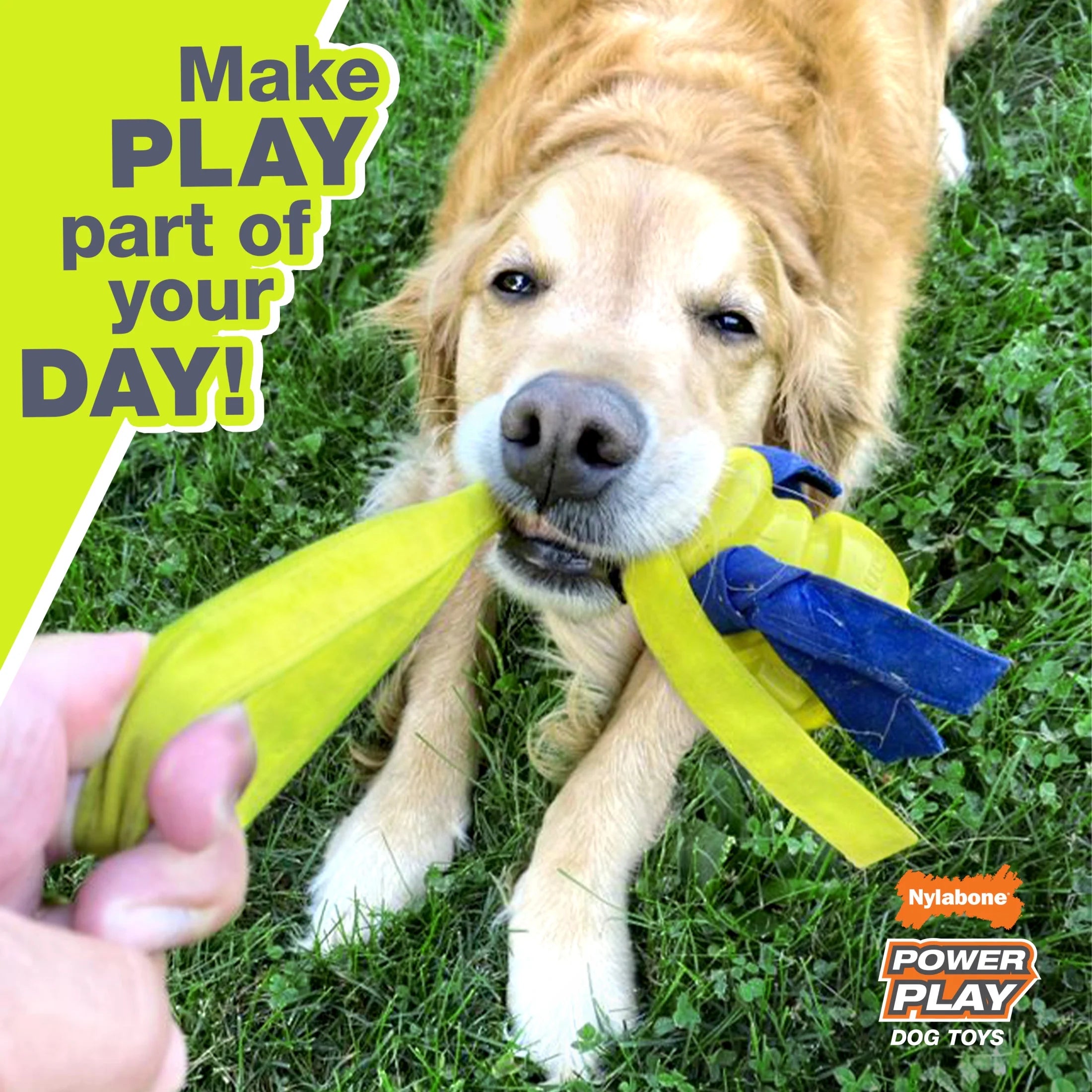 Power Play Crazy-Ball Dog Toy, Dog Balls, Interactive Dog Toys, Large